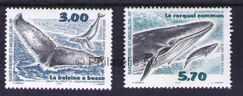 707-708 timbres de collection Saint-Pierre et Miquelet Philatélie 50 2000