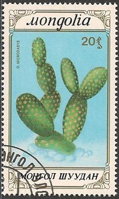Philatélie - Cactus - Timbres de collection
