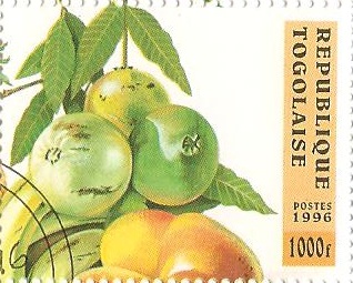 Philatélie - Fruits - Timbres de collection