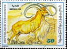 Lot1113