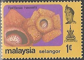 Philatélie - Selangor - Timbres de collection