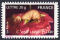 3804 - Philatélie 50 - timbre de France neuf sans charnière - timbre de collection Yvert et Tellier - timbre de naissances C'est une fille - 2005