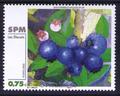 794 timbre de collection Yvert et Tellier timbre de Saint-Pierre et Miquelon 2003