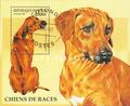 bloc de timbre chat et chien Philatélie 50 timbre de collection thématique animaux