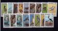 Botswana - Philatélie 50 - timbres de collection - timbres thématiques oiseaux - timbres de Botswana