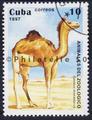 camélidés philatélie 50 timbre de collection thématique animaux