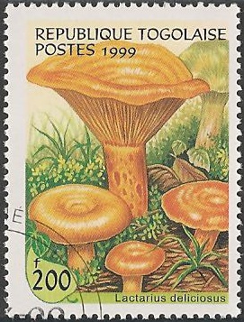 Philatélie - Champignon - Timbres de collection