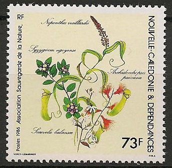 NCAL527 - Philatelie - Timbre de Nouvelle-Calédonie N° Yvert et Tellier 527 - Timbres de collection
