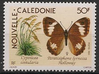 NCAL590 - Philatelie - Timbre de Nouvelle-Calédonie N° Yvert et Tellier 590 - Timbres de collection