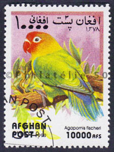 timbre de perroquet Philatélie 50 timbre de collection thématique animaux