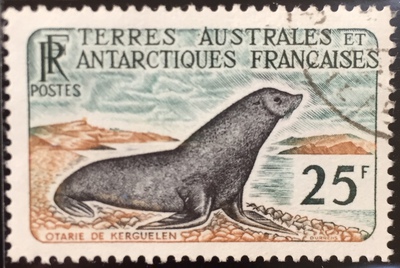 TAAF16obl - Philatélie – timbres des terres australes n°16 - Timbres de collection