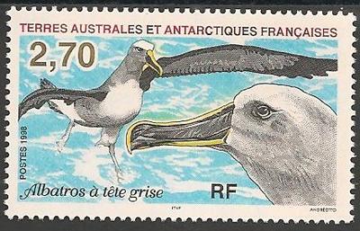 TAAF229 - Philatélie - Timbres des terres australes n° YT229 - Timbres de collection