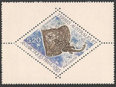TAAF240 - Philatélie - Timbres des terres australes n° YT240 - Timbres de collection