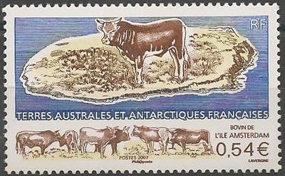 TAAF461 - Philatélie - Timbres des terres australes n° YT461 - Timbres de collection