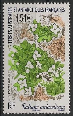 TAAF500 - Philatélie - Timbres des terres australes n° YT500 - Timbres de collection