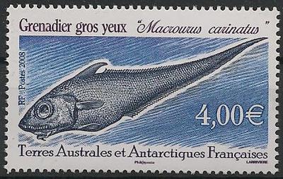 TAAF505 - Philatélie - Timbres des terres australes n° YT505 - Timbres de collection