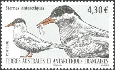TAAF725 - Philatélie 50 – Timbre des terres australes et antarctiques françaises N° 725