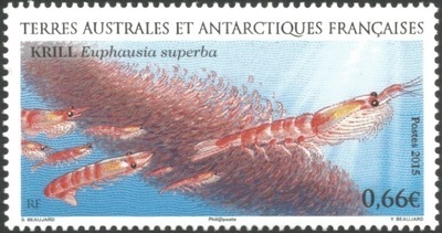 TAAF728 - Philatélie 50 – Timbre des terres australes et antarctiques françaises N° 728