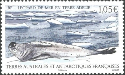 TAAF739 - Philatélie 50 – Timbre des terres australes et antarctiques françaises N° 739