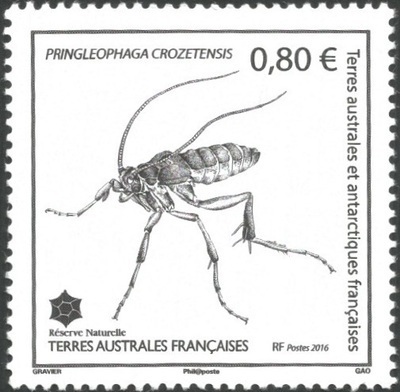 TAAF766 - Philatélie 50 – Timbre des terres australes et antarctiques françaises N° 766