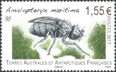 TAAF802 - Philatélie 50 – Timbre des terres australes et antarctiques françaises N° 802