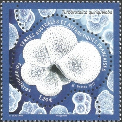 TAAF804 - Philatélie 50 – Timbre des terres australes et antarctiques françaises N° 804