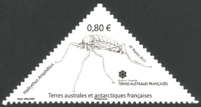 TAAF812 - Philatélie 50 – Timbre des terres australes et antarctiques françaises N° 812