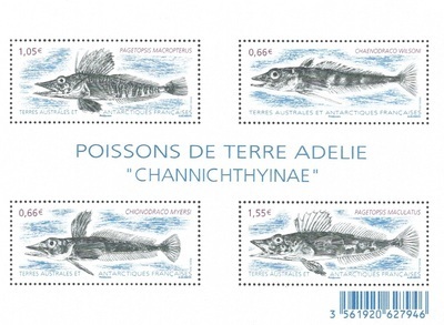 TAAFF732 - Philatélie 50 – Timbre des terres australes et antarctiques françaises N° F732