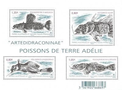 TAAFF774 - Philatélie 50 – Timbre des terres australes et antarctiques françaises N° F774