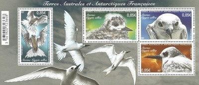 TAAFF798 - Philatélie 50 – Timbre des terres australes et antarctiques françaises N° F798