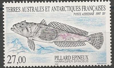 TAAFPA145 - Philatélie - Timbre Poste Aérienne de Terres Australes N°YT 145 - Timbre de collection