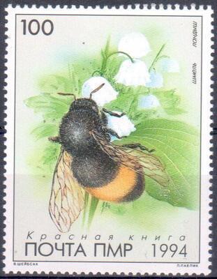 TEABEILLES, Philatélie 50, Timbre Abeille