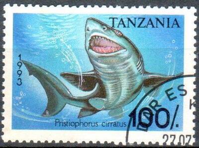 TEREQUINS, Philatélie 50, Timbres thématiques sur les requins