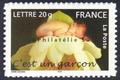 3805 - Philatélie 50 - timbre de France neuf sans charnière - timbre de collection Yvert et Tellier - timbre de naissances C'est un garçon - 2005