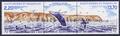 495A timbre de collection Philatélie 50 timbre de Saint-Pierre et Miquelon