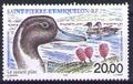 79 Philatélie 50 timbre de collection Yvert et Tellier timbre de Saint-Pierre et Miquelon poste aérienne