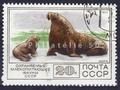 animaux polaire Philatélie 50 timbre de collection thématique animaux
