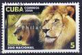 animaux sauvages lions - Philatélie 50 timbre de collection thématique animaux