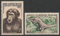 AOF51-52 - Philatélie - Timbres d'Afrique Occidentale Française N° Yvert et Tellier 51 à 52 - Timbres de colonies françaises - Timbres de collection