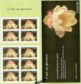 BC3805/55 - Philatélie 50 - carnet de timbres de France neufs sans charnière - timbres de collection Yvert et Tellier - naissance C'est un garçon 2005