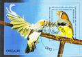 bloc oiseaux Philatélie 50 timbre de collection thématique animaux