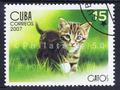 animaux domestiques chat - Philatélie 50 - timbre de collection thématique animaux