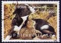 chat et chien Philatélie 50 timbre de collection thématique animaux