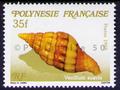 timbre de coquillage Philatélie 50 timbre de collection thématique animaux