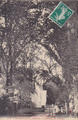 CPA50DIG0202181 - Philatelie - Carte postale ancienne Digosville - L'Avenue du Château - Cartes postales anciennes