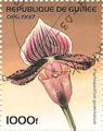 Philatélie - Orchidées - Timbres de collection