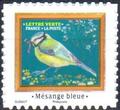 RFADH2535A, Philatélie 50, Timbre auto-adhésif Mésange bleue 2025