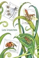 RFF5148 - Philatélie 50 - Feuillet de France 2017 N° YT F5148, Insectes de nos jardins