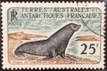 TAAF16obl - Philatélie – timbres des terres australes n°16 - Timbres de collection