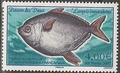 TAAF456 - Philatélie - Timbres des terres australes n° YT456 - Timbres de collection